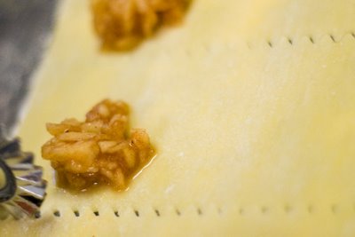 Apple Cinnamon Ravioli