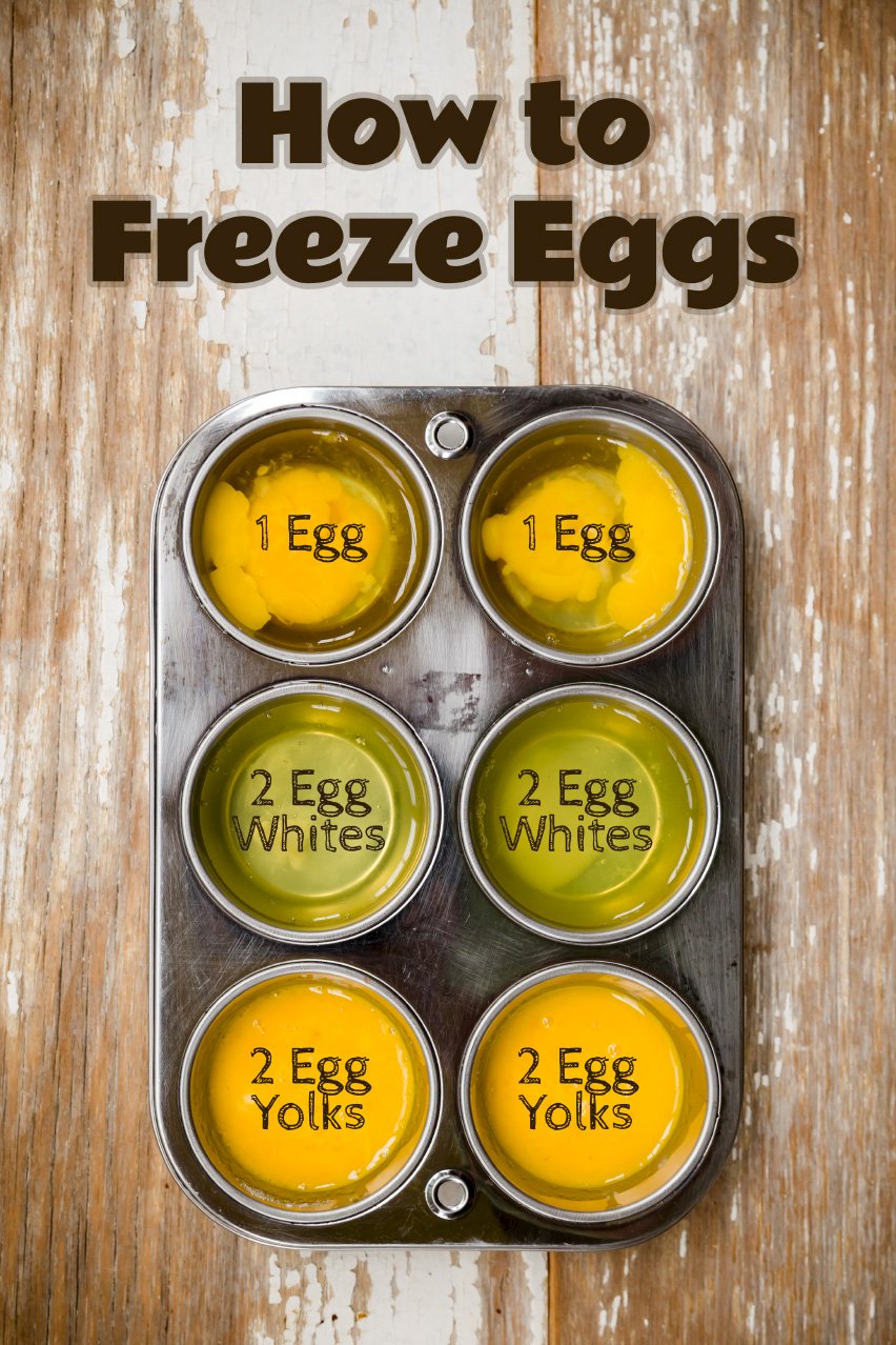How to Freeze Eggs Cupcake Project