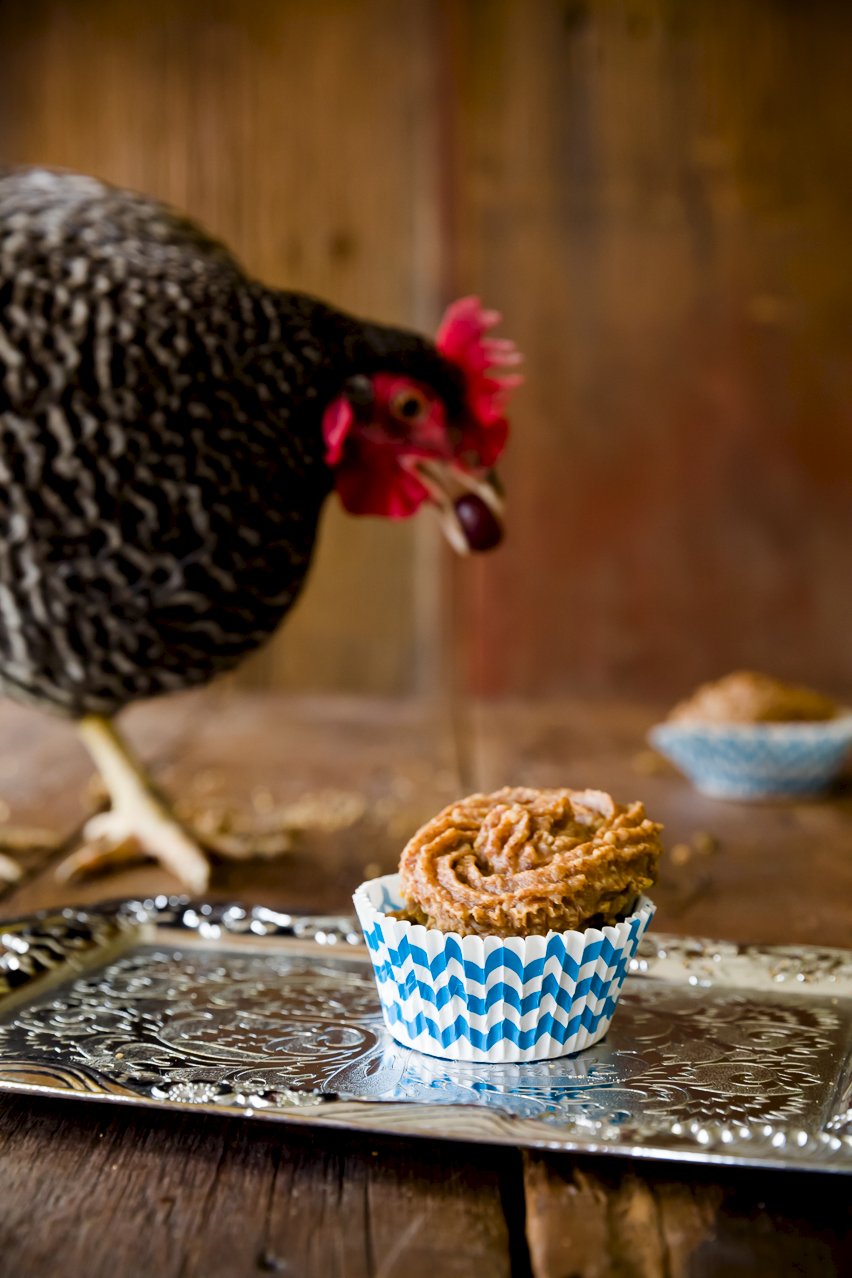 I Am Now the Crazy Lady Who Makes Cupcakes for Her Chickens Cupcake