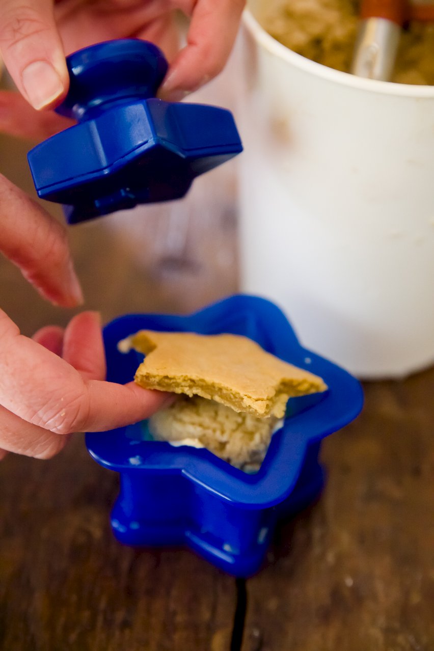 Homemade Ice Cream Sandwiches Cupcake Project