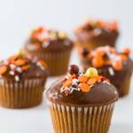 Pumpkin Cupcakes