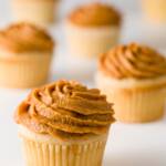 Pumpkin Frosting on vanilla cupcakes