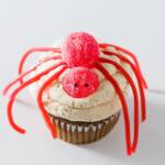Halloween cupcake with a spider on top