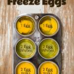 How to Freeze Eggs