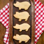 Pig Newtons