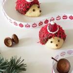 Santa hedgehogs