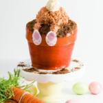 Easter Bunny Butt Flowerpot Cake