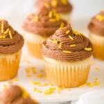 Chocolate Peanut Butter Banana Frosting