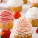 cupcakes frosted with three types of strawberry frosting on a white background with some scattered strawberries