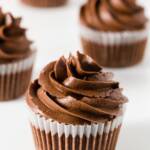 Chocolate cupcakes with chocolate buttercream frosting
