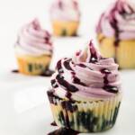 Blueberry Cupcakes